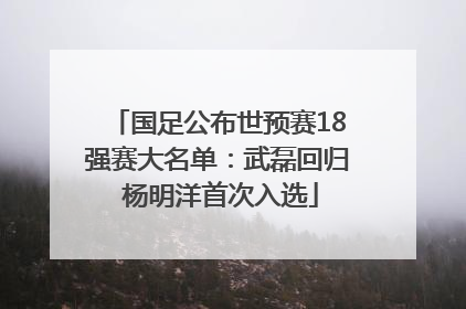 国足公布世预赛18强赛大名单：武磊回归 杨明洋首次入选