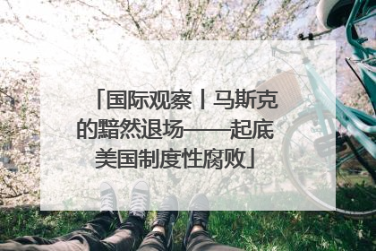 国际观察丨马斯克的黯然退场——起底美国制度性腐败