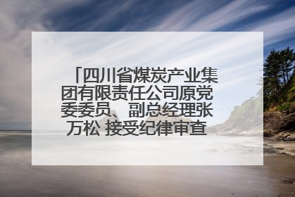 四川省煤炭产业集团有限责任公司原党委委员、副总经理张万松 接受纪律审查和监察调查