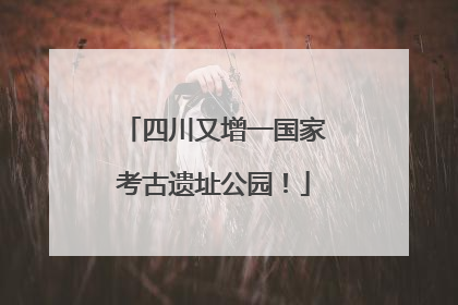 四川又增一国家考古遗址公园！