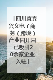 四川宜宾兴文电子商务（跨境）产业园开园 已吸引20余家企业入驻