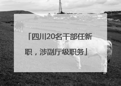 四川20名干部任新职，涉副厅级职务