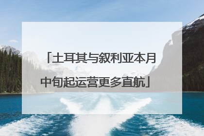 土耳其与叙利亚本月中旬起运营更多直航