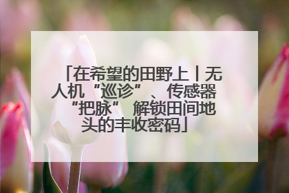 在希望的田野上丨无人机“巡诊”、传感器“把脉” 解锁田间地头的丰收密码