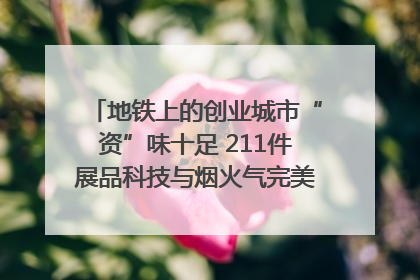 地铁上的创业城市“资”味十足 211件展品科技与烟火气完美融合｜西博视界