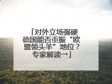 对外立场强硬 德国能否重振“欧盟领头羊”地位？专家解读→