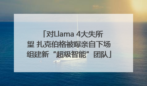对Llama 4大失所望 扎克伯格被曝亲自下场组建新“超级智能”团队