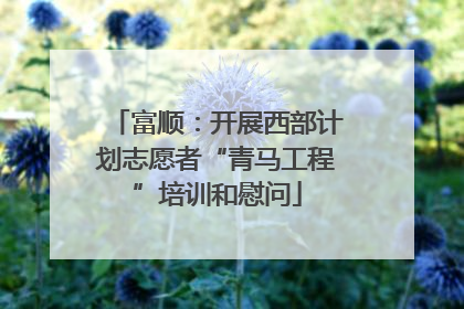 富顺：开展西部计划志愿者“青马工程”培训和慰问