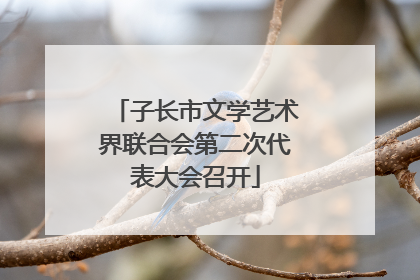 子长市文学艺术界联合会第二次代表大会召开