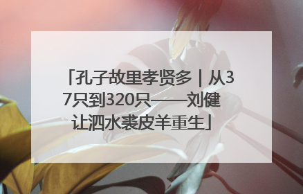 孔子故里孝贤多｜从37只到320只——刘健让泗水裘皮羊重生