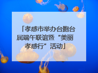 孝感市举办台胞台属端午联谊暨“美丽孝感行”活动