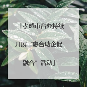 孝感市台办持续开展“惠台助企促融合”活动