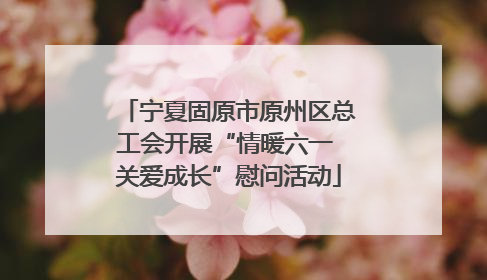宁夏固原市原州区总工会开展“情暖六一 关爱成长”慰问活动