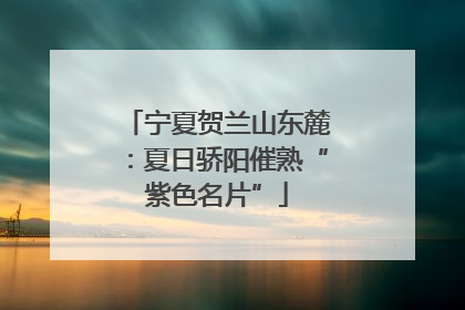 宁夏贺兰山东麓：夏日骄阳催熟“紫色名片”