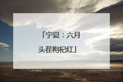 宁夏：六月头茬枸杞红
