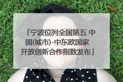 宁波位列全国第五 中国(城市)-中东欧国家开放创新合作指数发布