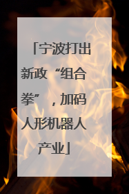 宁波打出新政“组合拳”，加码人形机器人产业