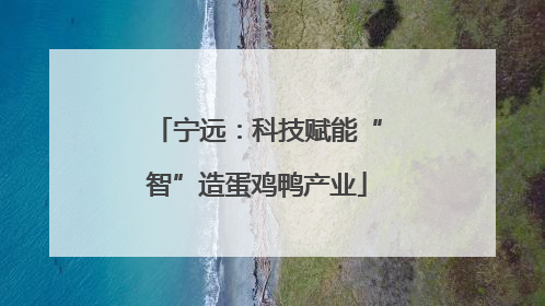 宁远：科技赋能“智”造蛋鸡鸭产业