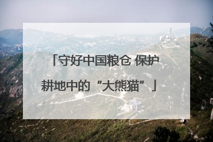 守好中国粮仓 保护耕地中的“大熊猫”