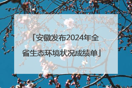 安徽发布2024年全省生态环境状况成绩单