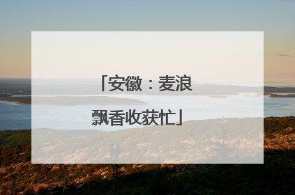 安徽：麦浪飘香收获忙