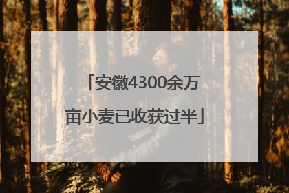 安徽4300余万亩小麦已收获过半