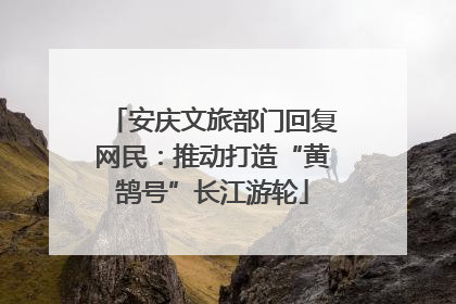 安庆文旅部门回复网民：推动打造“黄鹄号”长江游轮