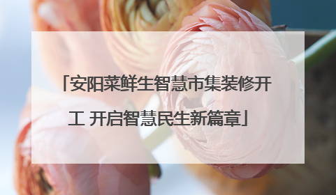安阳菜鲜生智慧市集装修开工 开启智慧民生新篇章