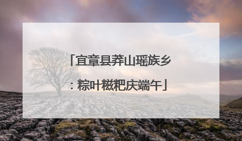 宜章县莽山瑶族乡：粽叶糍粑庆端午
