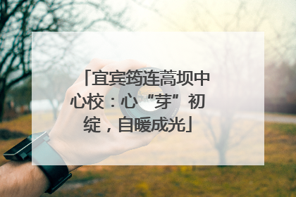 宜宾筠连蒿坝中心校：心“芽”初绽，自暖成光