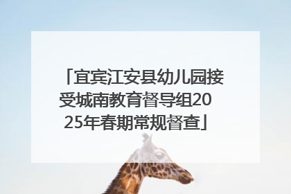 宜宾江安县幼儿园接受城南教育督导组2025年春期常规督查