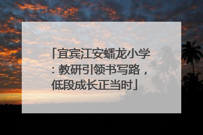 宜宾江安蟠龙小学：教研引领书写路，低段成长正当时