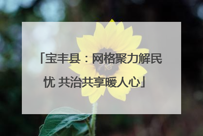 宝丰县：网格聚力解民忧 共治共享暖人心