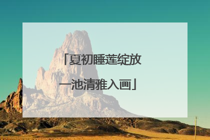 夏初睡莲绽放 一池清雅入画