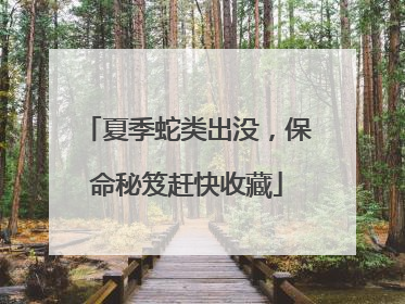 夏季蛇类出没，保命秘笈赶快收藏