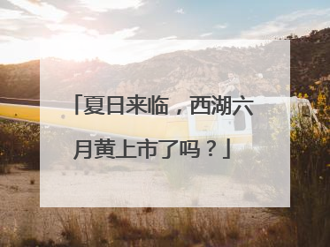 夏日来临，西湖六月黄上市了吗？