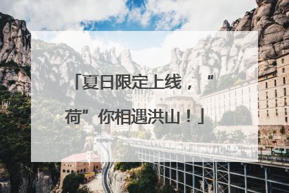 夏日限定上线，“荷”你相遇洪山！