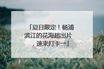 夏日限定！杨浦滨江的花海超出片，速来打卡→