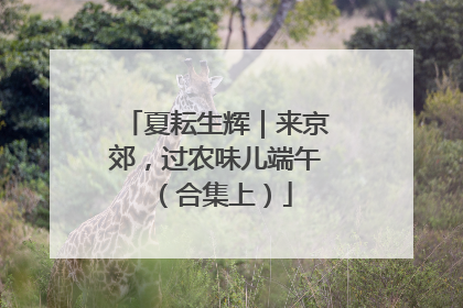 夏耘生辉｜来京郊，过农味儿端午（合集上）