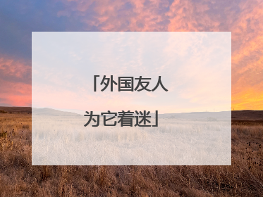 外国友人为它着迷
