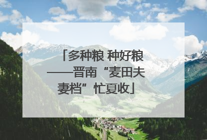 多种粮 种好粮——晋南“麦田夫妻档”忙夏收