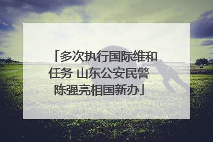 多次执行国际维和任务 山东公安民警陈强亮相国新办