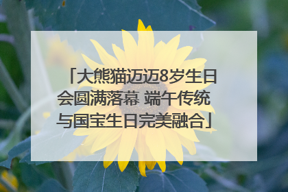 大熊猫迈迈8岁生日会圆满落幕 端午传统与国宝生日完美融合