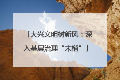 大兴文明树新风：深入基层治理“末梢”