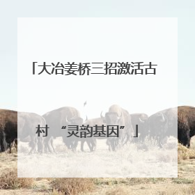大冶姜桥三招激活古村 “灵韵基因”