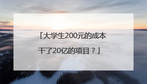 大学生200元的成本干了20亿的项目？