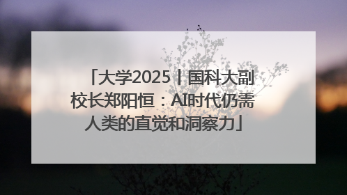 大学2025丨国科大副校长郑阳恒：AI时代仍需人类的直觉和洞察力