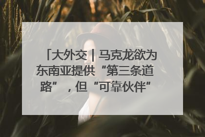 大外交｜马克龙欲为东南亚提供“第三条道路”，但“可靠伙伴”人设难掩困局