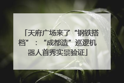 天府广场来了“钢铁搭档”：“成都造”巡逻机器人首秀实景验证