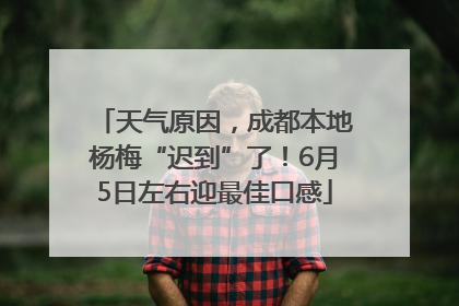 天气原因，成都本地杨梅“迟到”了！6月5日左右迎最佳口感
